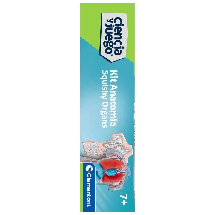 KIT ANATOMIA - SQUISHY ORGANOS
