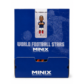 DISPLAY 17 SOBRES MINIX MUNDIAL