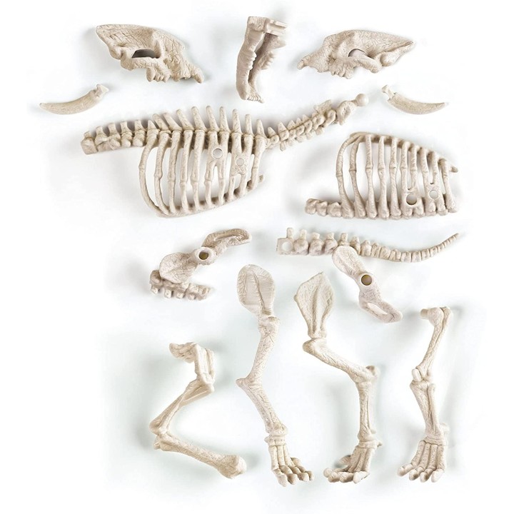 ARQUEOJUGANDO SMILODON FLUORESCENTE | Manualidades | Juego de Mesa Infantil