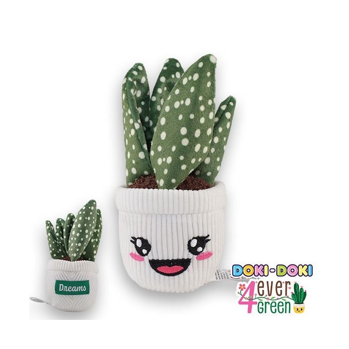 DISPLAY 6 DOKI DOKI 4 EVER GREEN | Peluche | Coleccionable