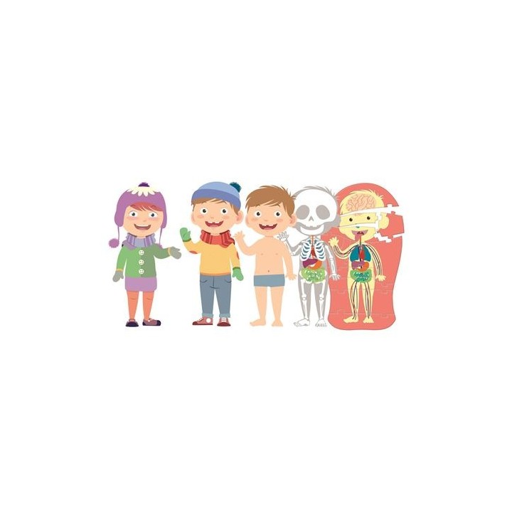 EDUCATION CLEMENTONI - EL CUERPO HUMANO